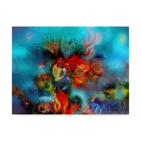 Trademark Fine Art RUNA 'Coral Reef Red' Canvas Art, 24x32 ALI21566-C2432GG